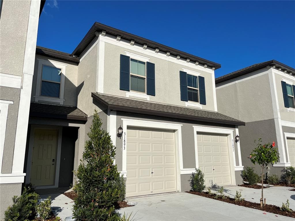 31893 BLUE PASSING LOOP WESLEY CHAPEL, FL 33545