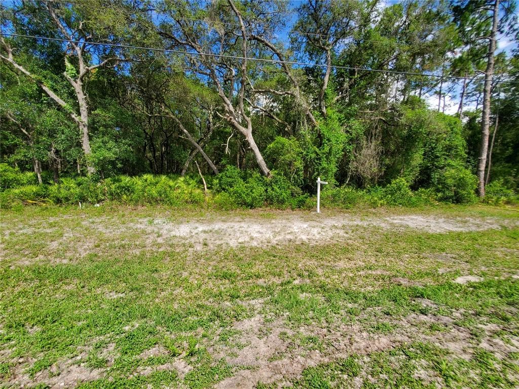 TREIMAN BOULEVARD WEBSTER, FL 33597