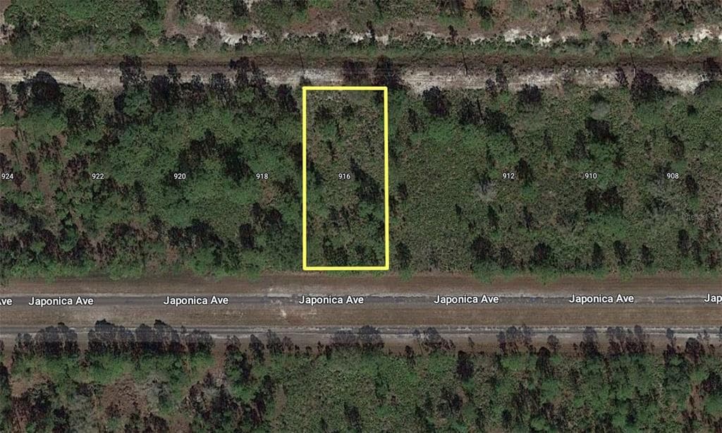 916 JAPONICA DRIVE INDIAN LAKE ESTATES, FL 33855