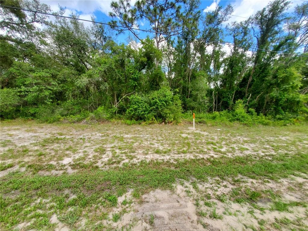 TREIMAN BOULEVARD WEBSTER, FL 33597
