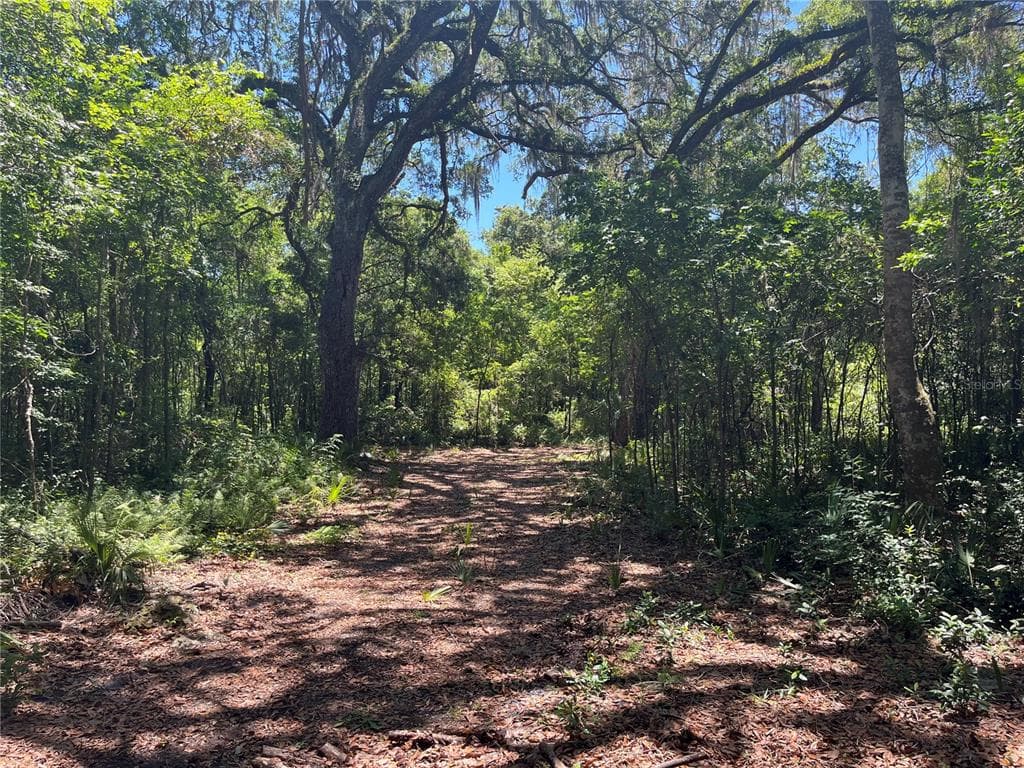 1999 SW 83RD PLACE BUSHNELL, FL 33513