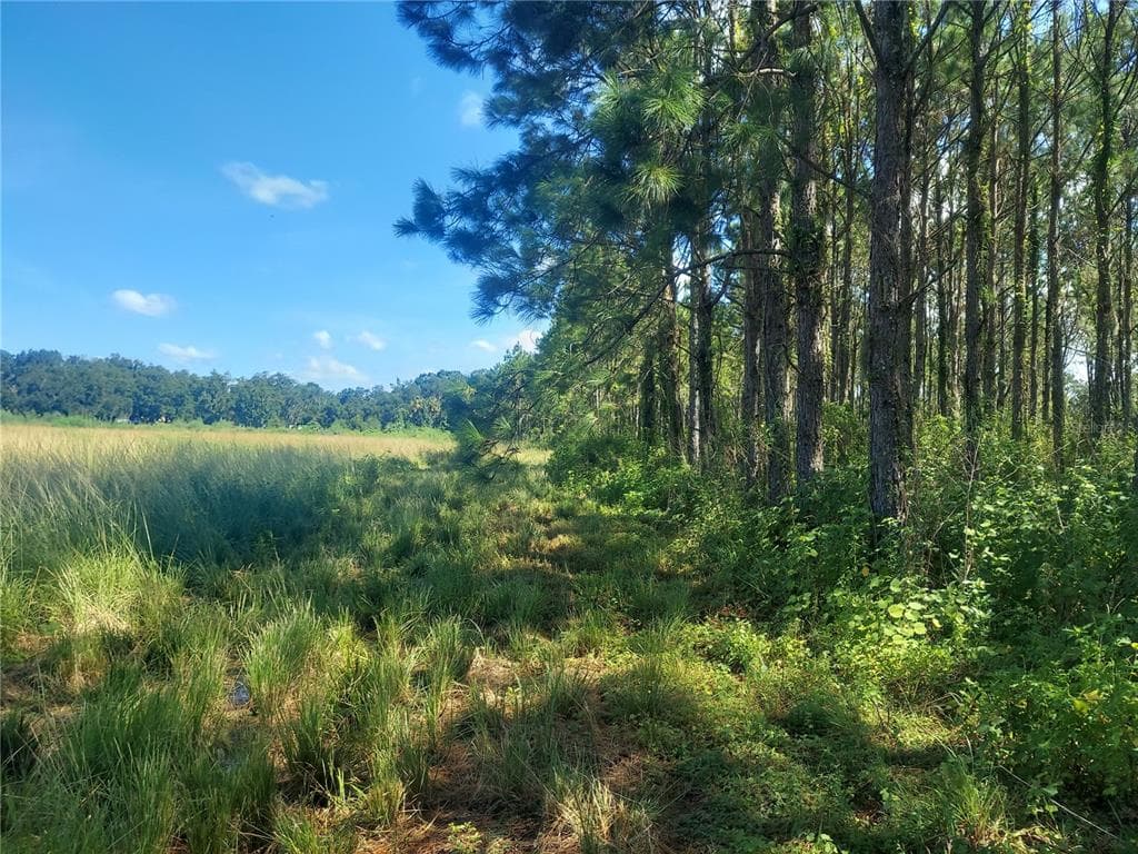 COUNTY LINE ROAD