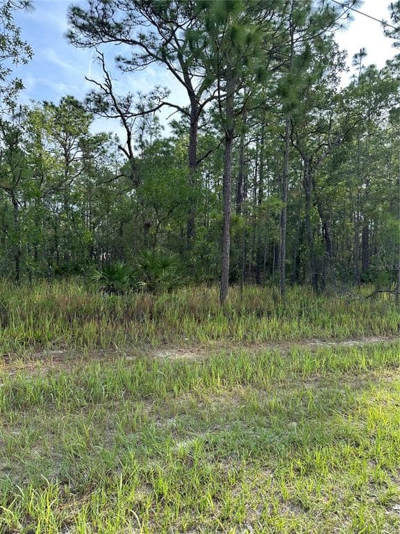11375 CHICKADEE ROAD WEEKI WACHEE, FL 34614