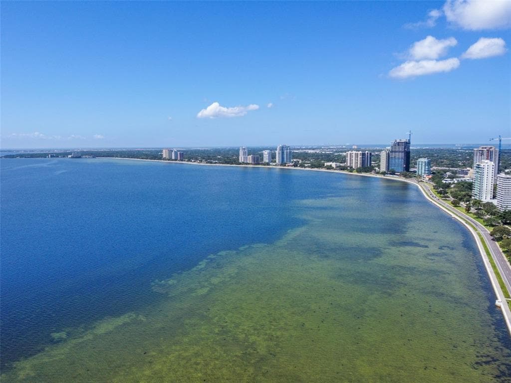 2413 BAYSHORE BOULEVARD UNIT 805 TAMPA, FL 33629