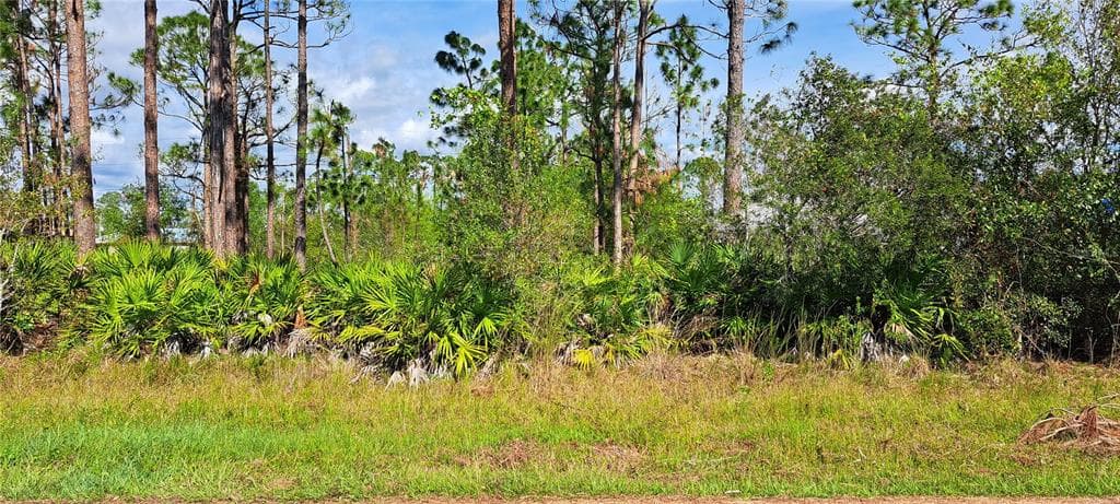 23242 ALASKA AVENUE PORT CHARLOTTE, FL 33952