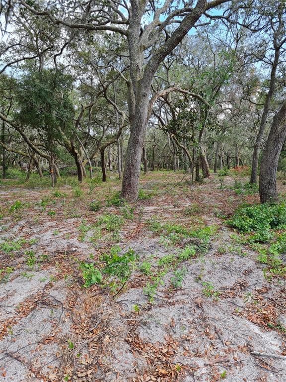 0 BOLAND AVENUE SPRING HILL, FL 34610