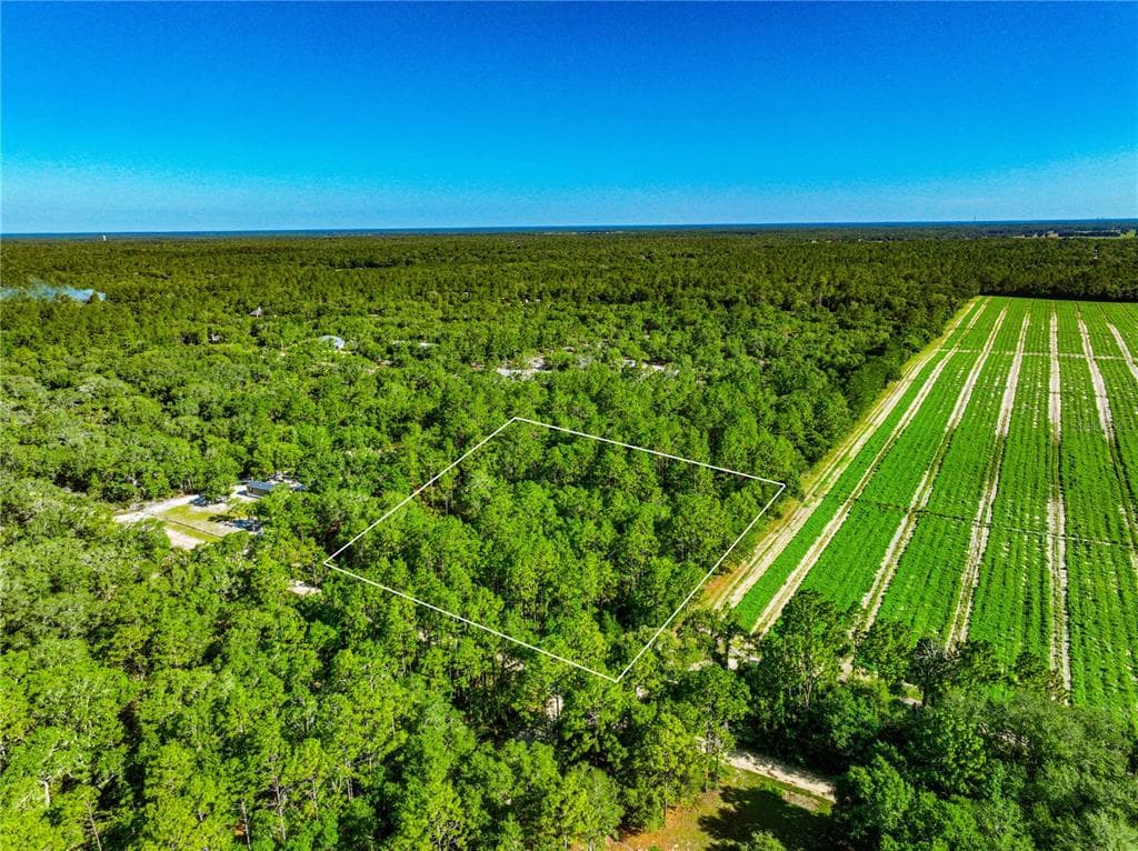 NE 75TH STREET BRONSON, FL 32621