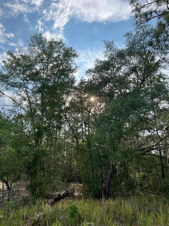 232 LOCUST PASS LANE OCALA, FL 34472