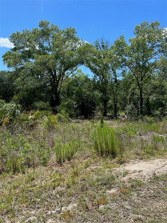 SE 124TH TERRACE DUNNELLON, FL 34431