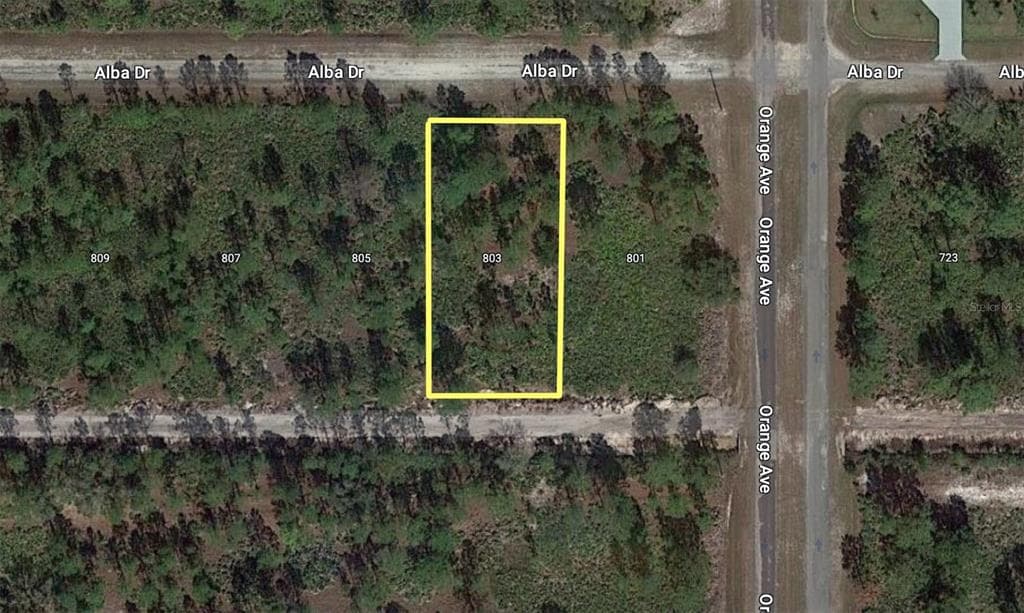 803 ALBA DRIVE INDIAN LAKE ESTATES, FL 33855