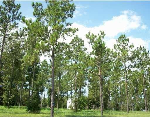 35920 RAMSEY RIDGE DRIVE DADE CITY, FL 33523
