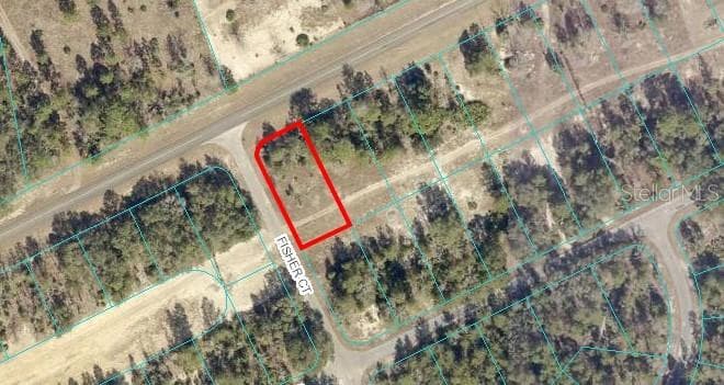 SE 113TH ST ROAD OCALA, FL 34483