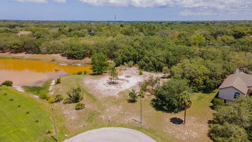 PINOLA DRIVE HUDSON, FL 34667