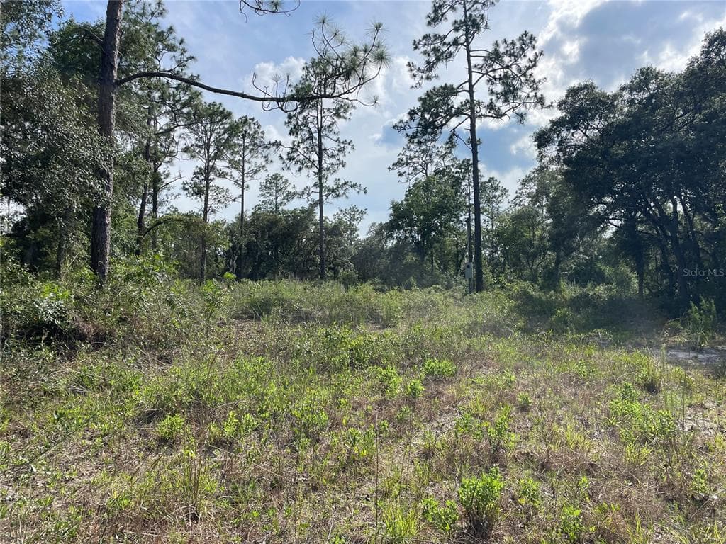 0000 NE 122ND AVENUE WILLISTON, FL 32696