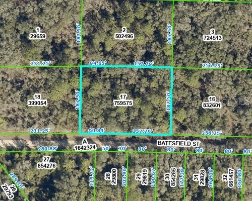 35013 BATESFIELD STREET WEBSTER, FL 33597