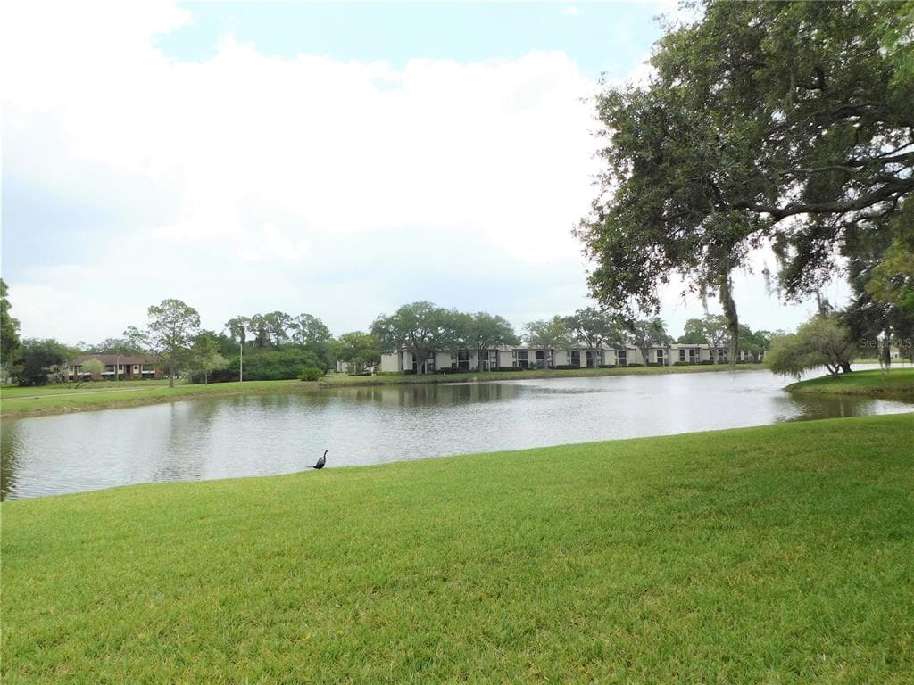 175 LAKEVIEW WAY UNIT 175 OLDSMAR, FL 34677