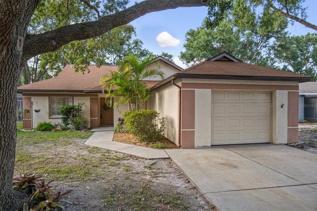 11338 BLACKBARK DR RIVERVIEW, FL 33579