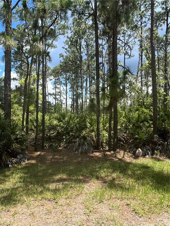 914 GAILLARDIA DRIVE INDIAN LAKE ESTATES, FL 33855