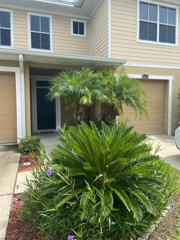 8210 DOWN ROYAL ROAD TAMPA, FL 33610