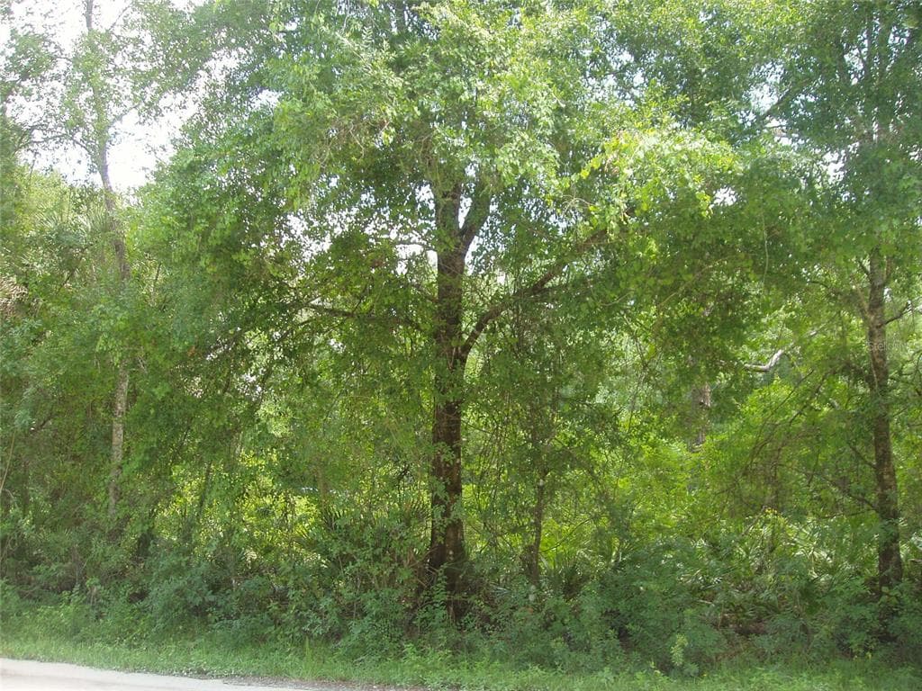 CREEK ROAD WESLEY CHAPEL, FL 33543