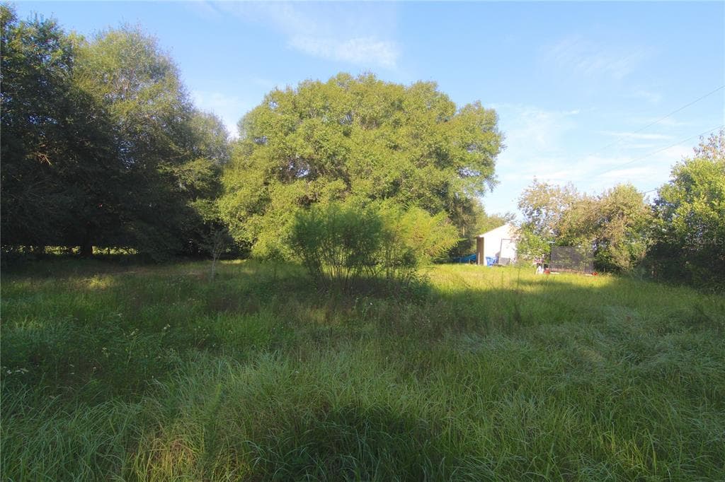 19137 GUNN HIGHWAY ODESSA, FL 33556