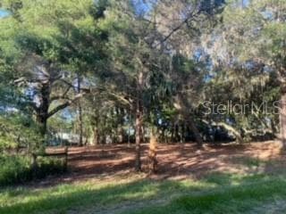 935 S BRISSON TERRACE INVERNESS, FL 34450