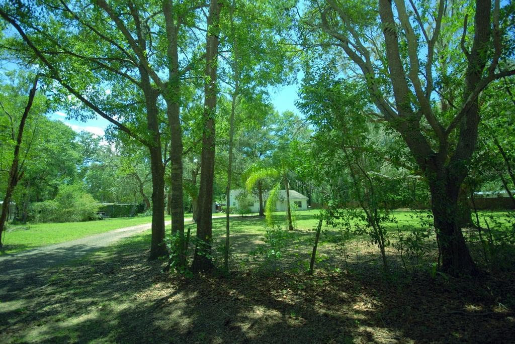 3307 POSSOM TROT ROAD VALRICO, FL 33596