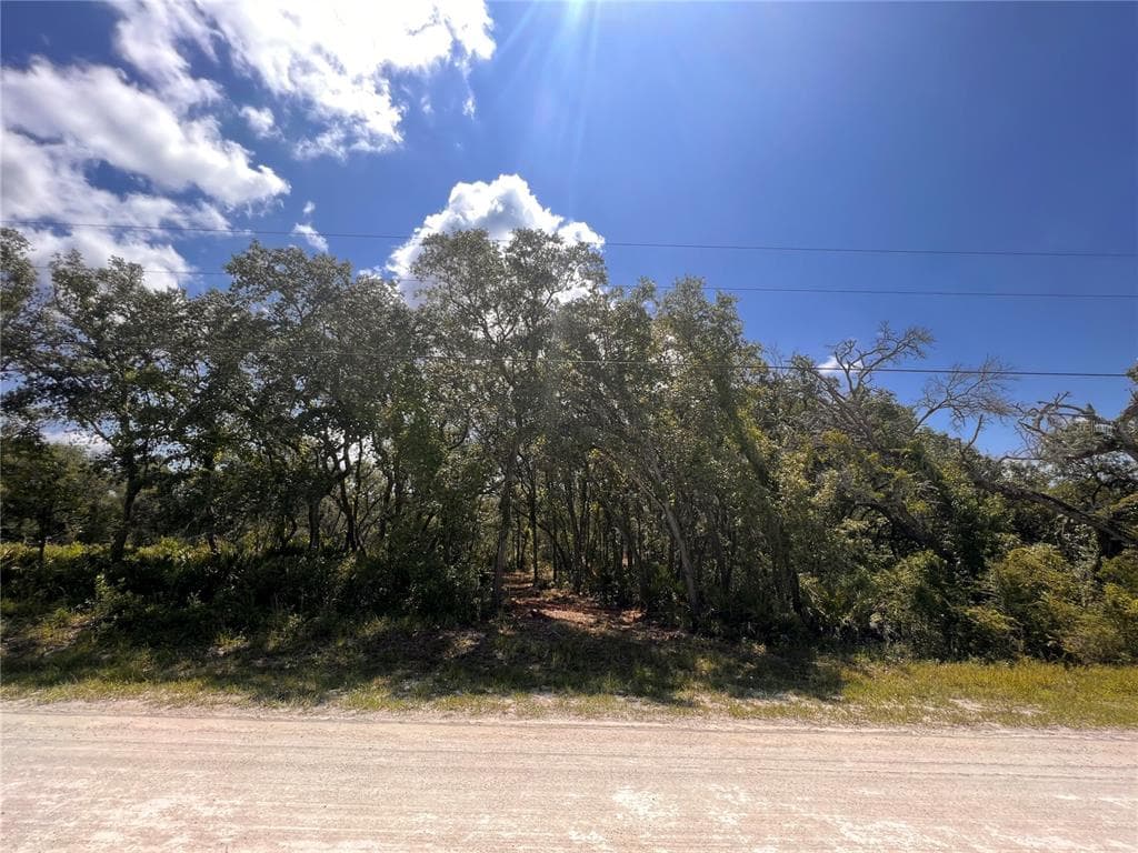 8204 CHIMNEY ROCK DRIVE WEBSTER, FL 33597