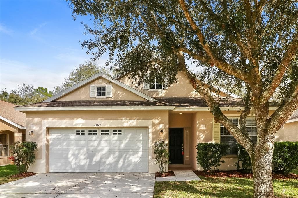 13043 TERRACE SPRINGS DRIVE TEMPLE TERRACE, FL 33637