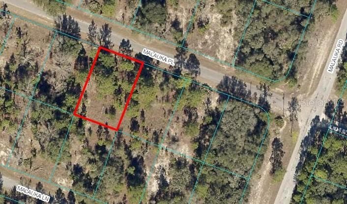 MALAUKA PLACE OCKLAWAHA, FL 32179