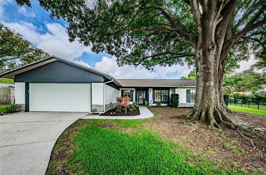 868 TRAILWOOD COURT PALM HARBOR, FL 34684