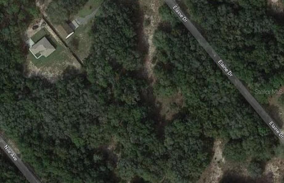 ELAINE DRIVE WEBSTER, FL 33597