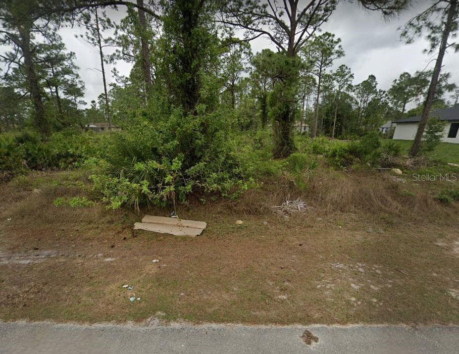 919 MAGNOLIA AVENUE LEHIGH ACRES, FL 33972