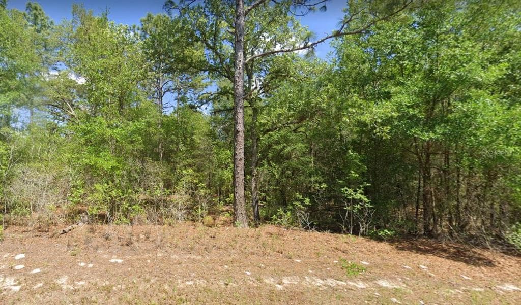 10091 N JACOBSON CITRUS SPRINGS, FL 34434