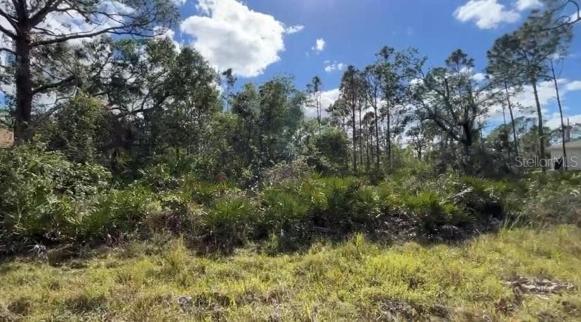 23268 WILBER AVENUE PORT CHARLOTTE, FL 33980