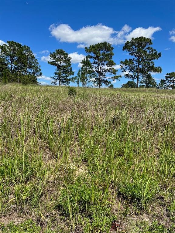SW 148TH COURT OCALA, FL 34481