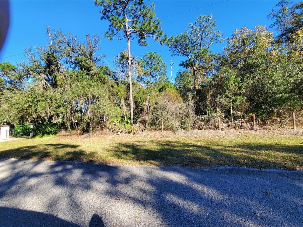 5405 ROCKING HORSE ROAD ORLANDO, FL 32817