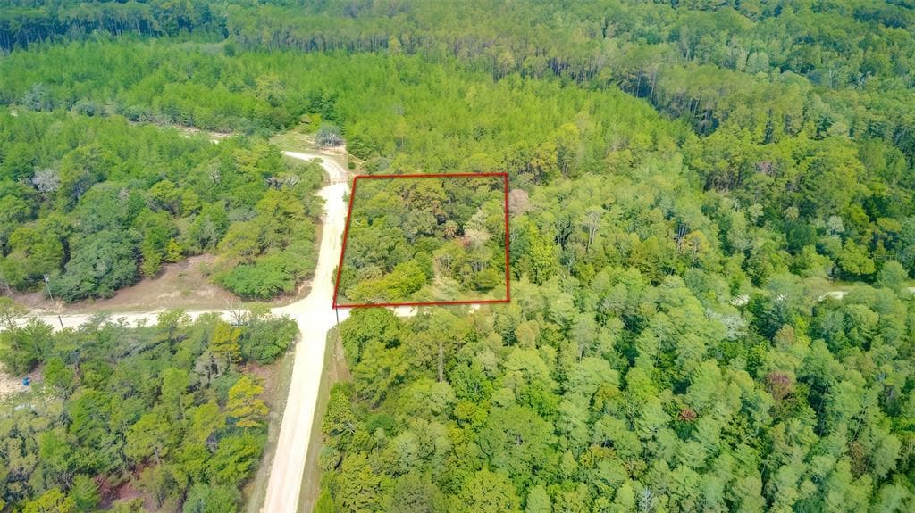 9319 ZEBRAFINCH AVENUE WEEKI WACHEE, FL 34614
