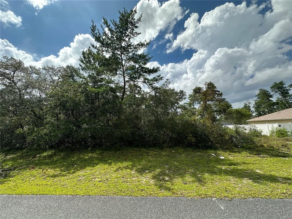 0 SW 172ND LANE OCALA, FL 34473