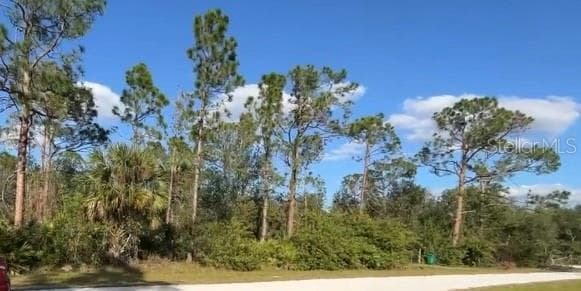 27250 MANDALAY DRIVE PUNTA GORDA, FL 33955