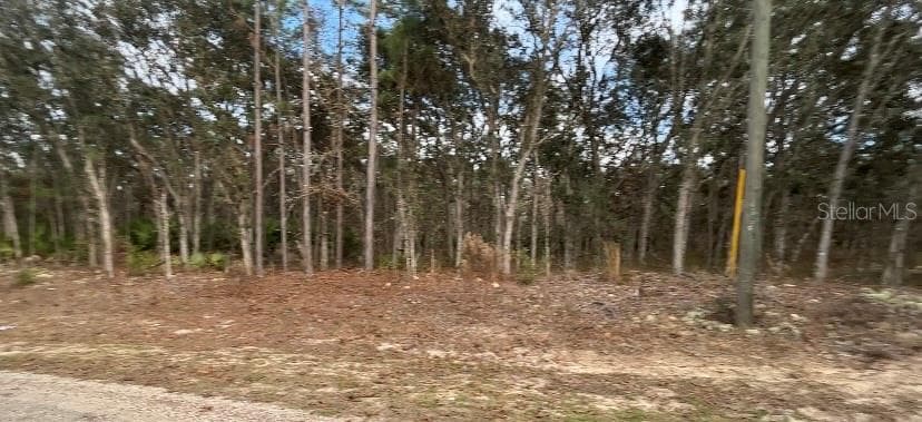 1870 W HIALEAH DRIVE CITRUS SPRINGS, FL 34434
