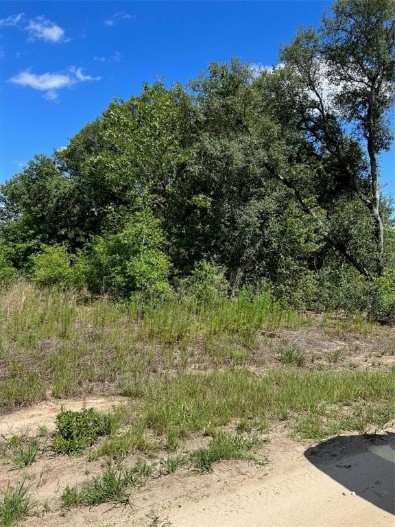 SW 146TH AVENUE OCALA, FL 34481