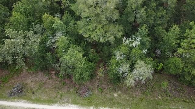 12845 SW 95TH PLACE DUNNELLON, FL 34432