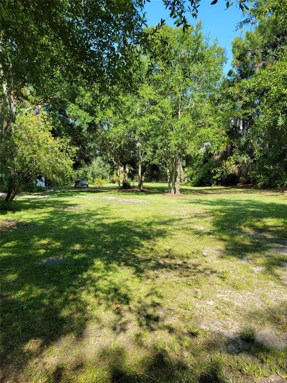 8115 BAY DRIVE TAMPA, FL 33635