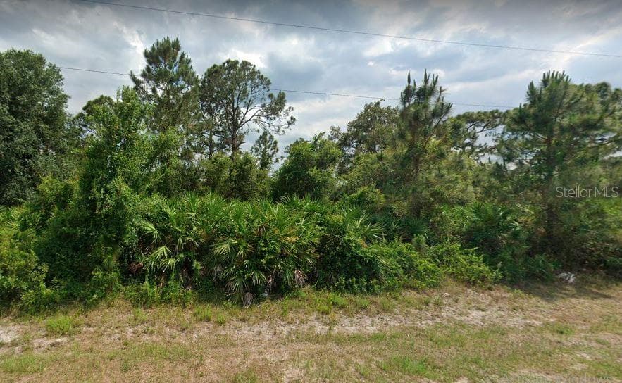 5012 SE TRADEWINDS CIRCLE LABELLE, FL 33935