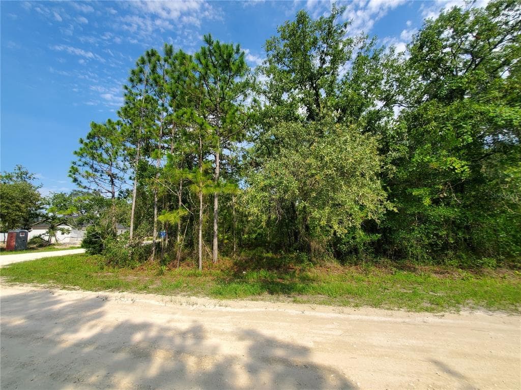 GEESE STREET WEEKI WACHEE, FL 34614