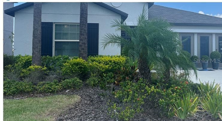 8606 PARSONS HILL BOULEVARD WESLEY CHAPEL, FL 33545