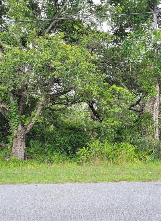 11262 LITTLE GULL ROAD BROOKSVILLE, FL 34614