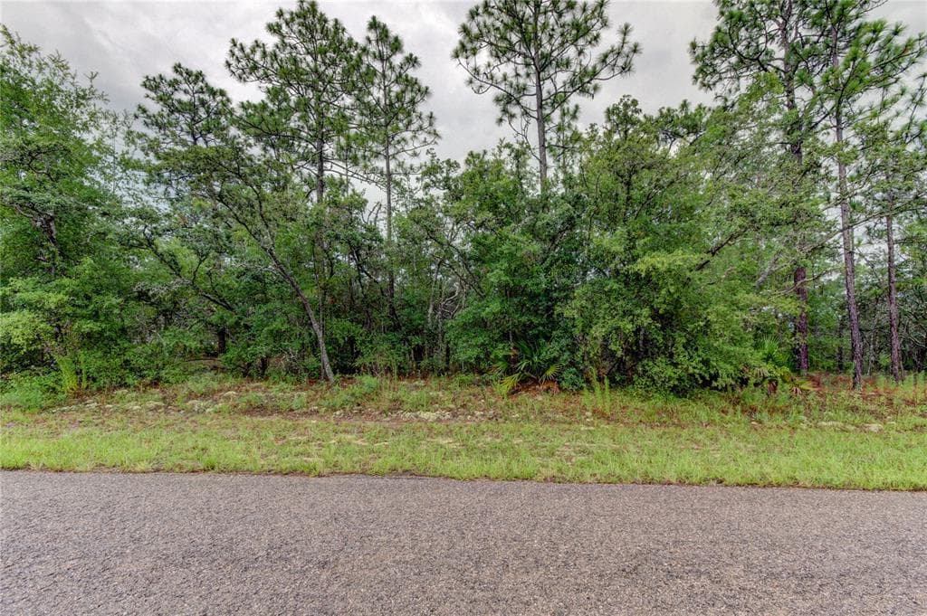 1788 W HIALEAH DRIVE CITRUS SPRINGS, FL 34434