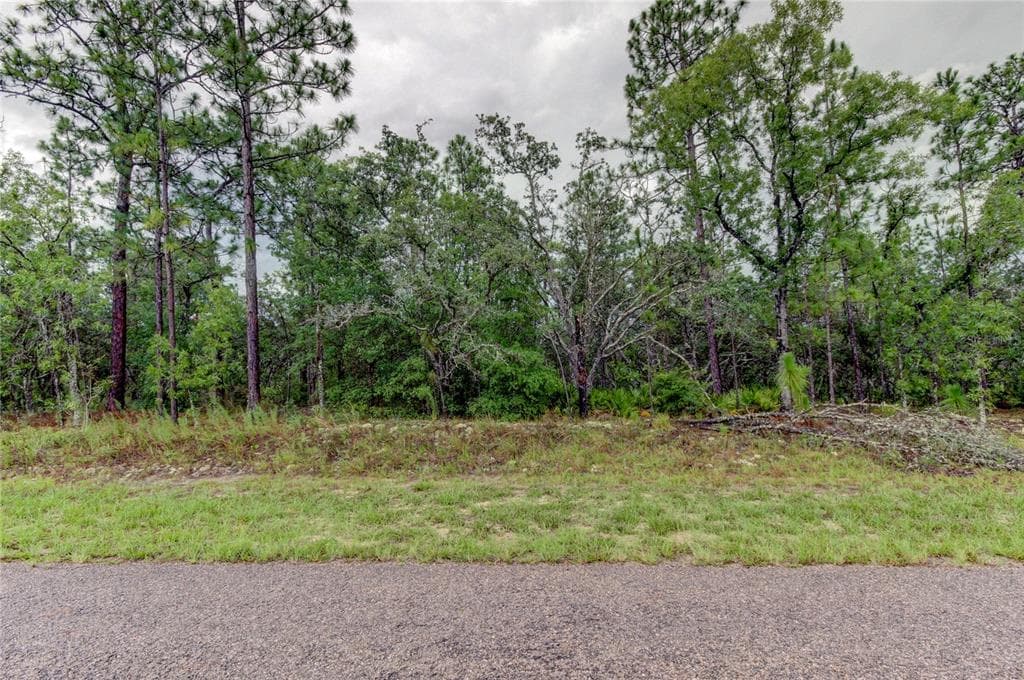 1816 W HIALEAH DRIVE CITRUS SPRINGS, FL 34434